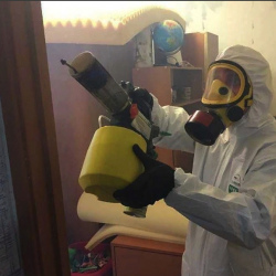 Уничтожение клопов в квартире. Полянка